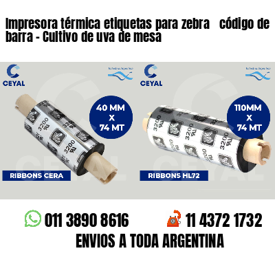 Impresora térmica etiquetas para zebra  código de barra - Cultivo de uva de mesa